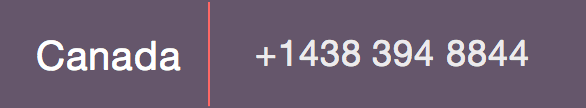 +1438 394 8844